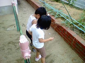 t_NEC_0180.jpg